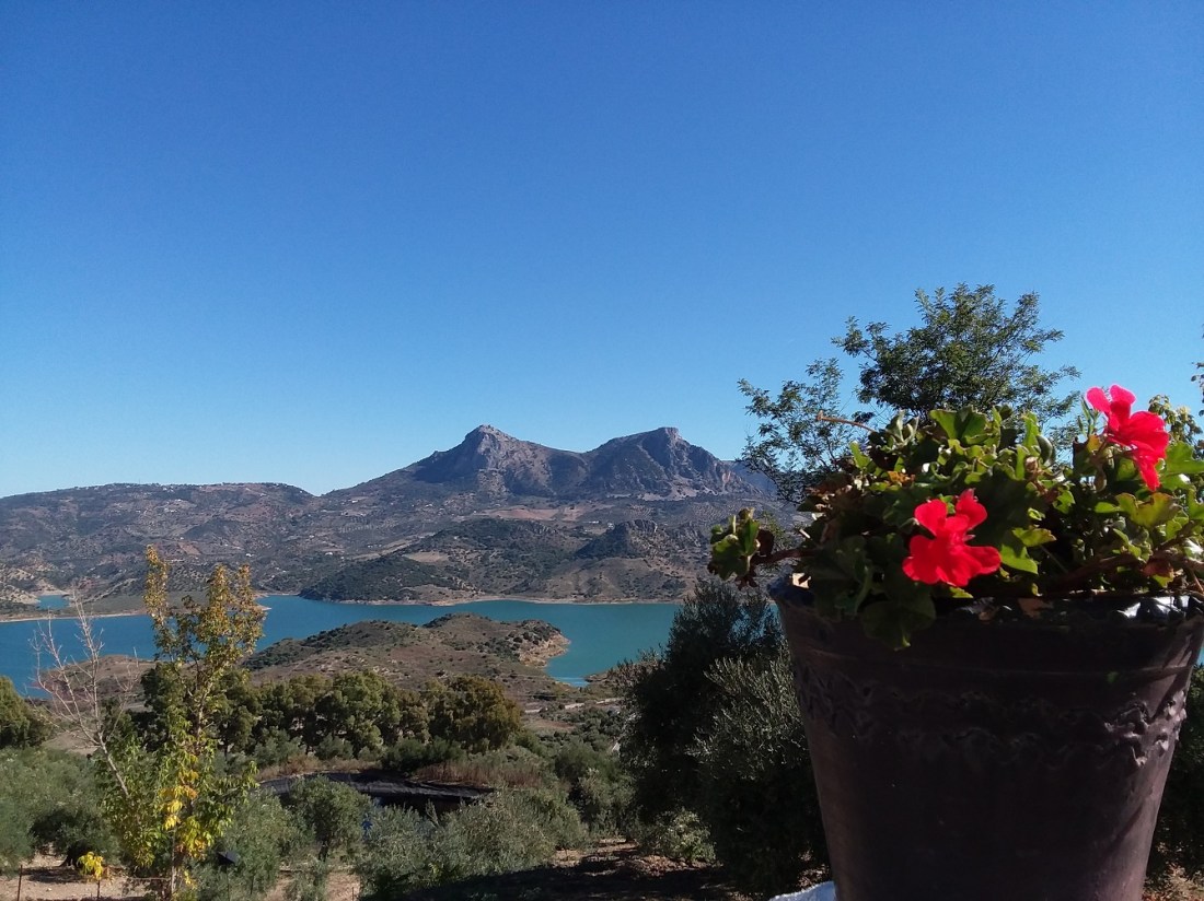 20181029_120902 - Copy