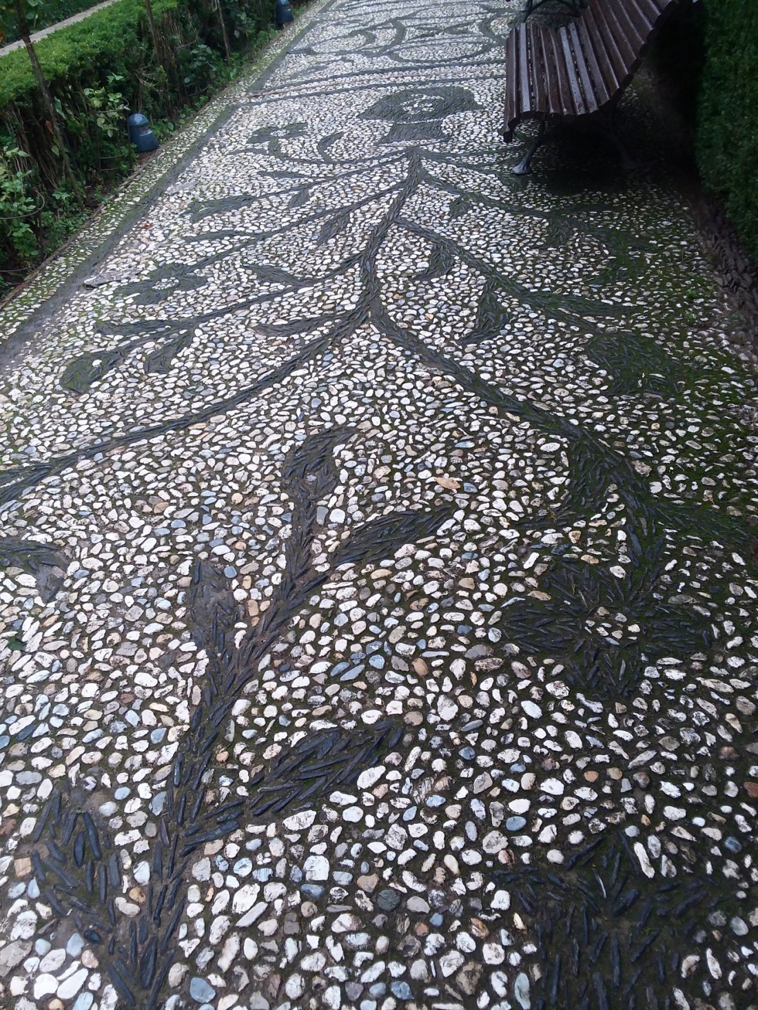 20181027_103459 - Copy