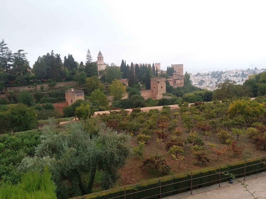 20181027_103711 - Copy