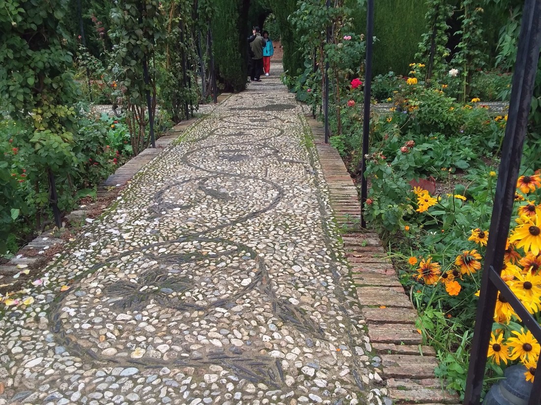 20181027_103800 - Copy