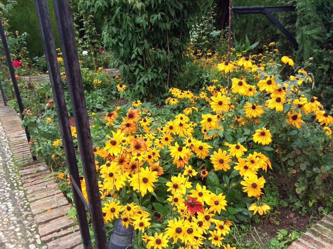 20181027_103805 - Copy