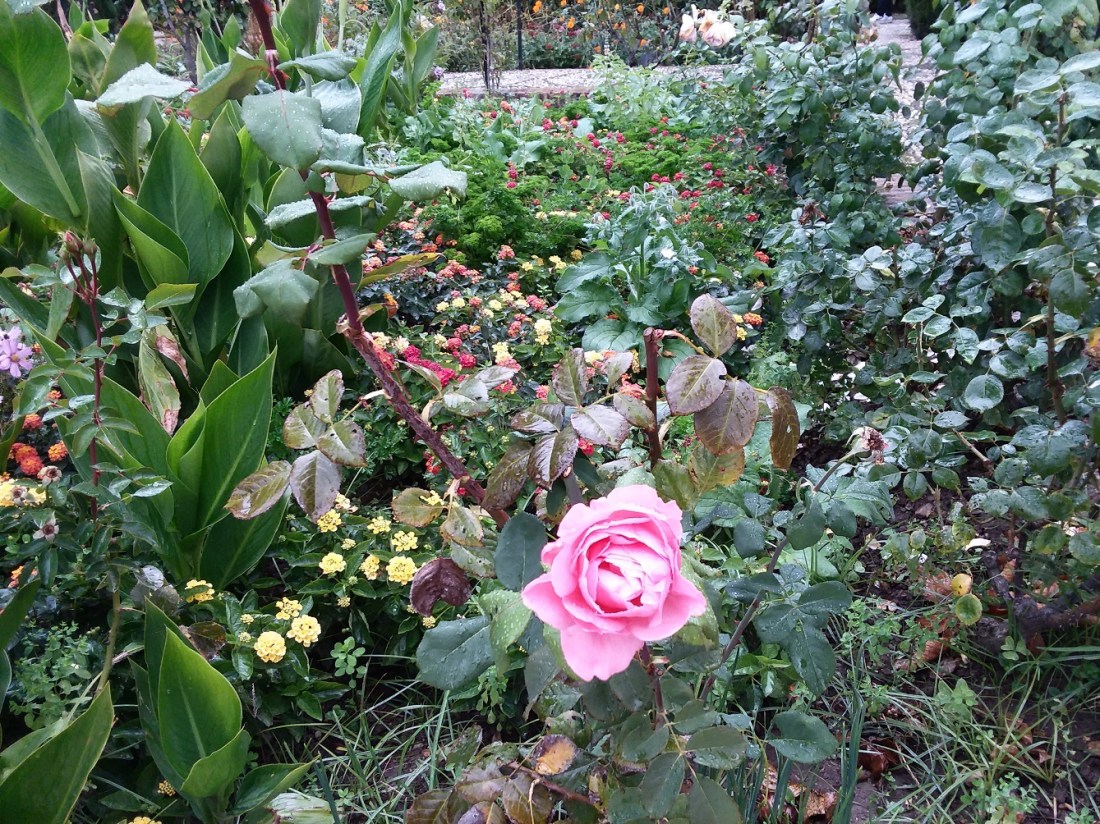 20181027_103900 - Copy