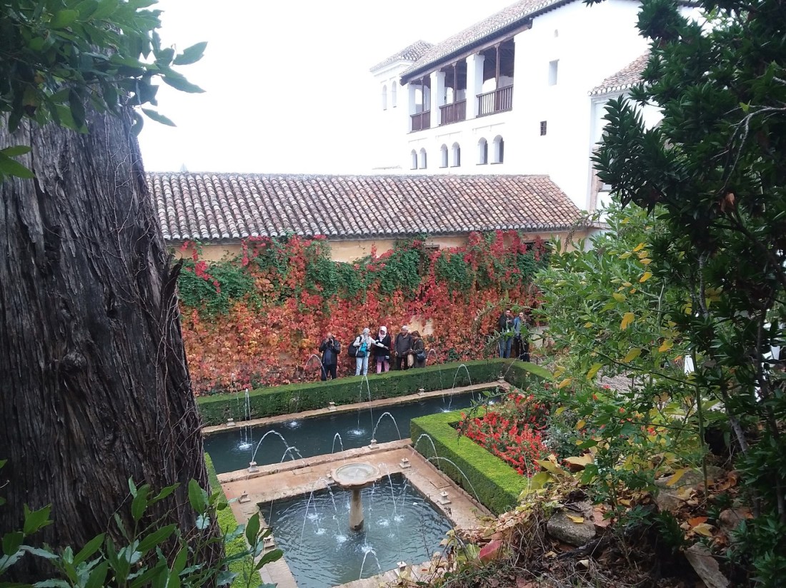 20181027_110435 - Copy