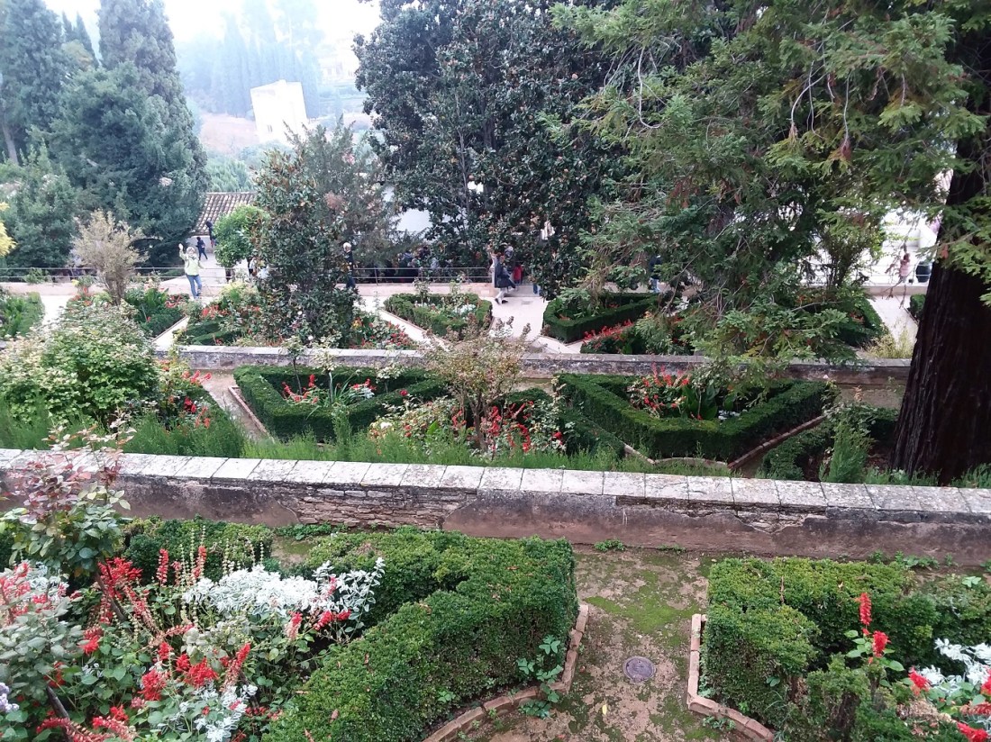 20181027_110830 - Copy