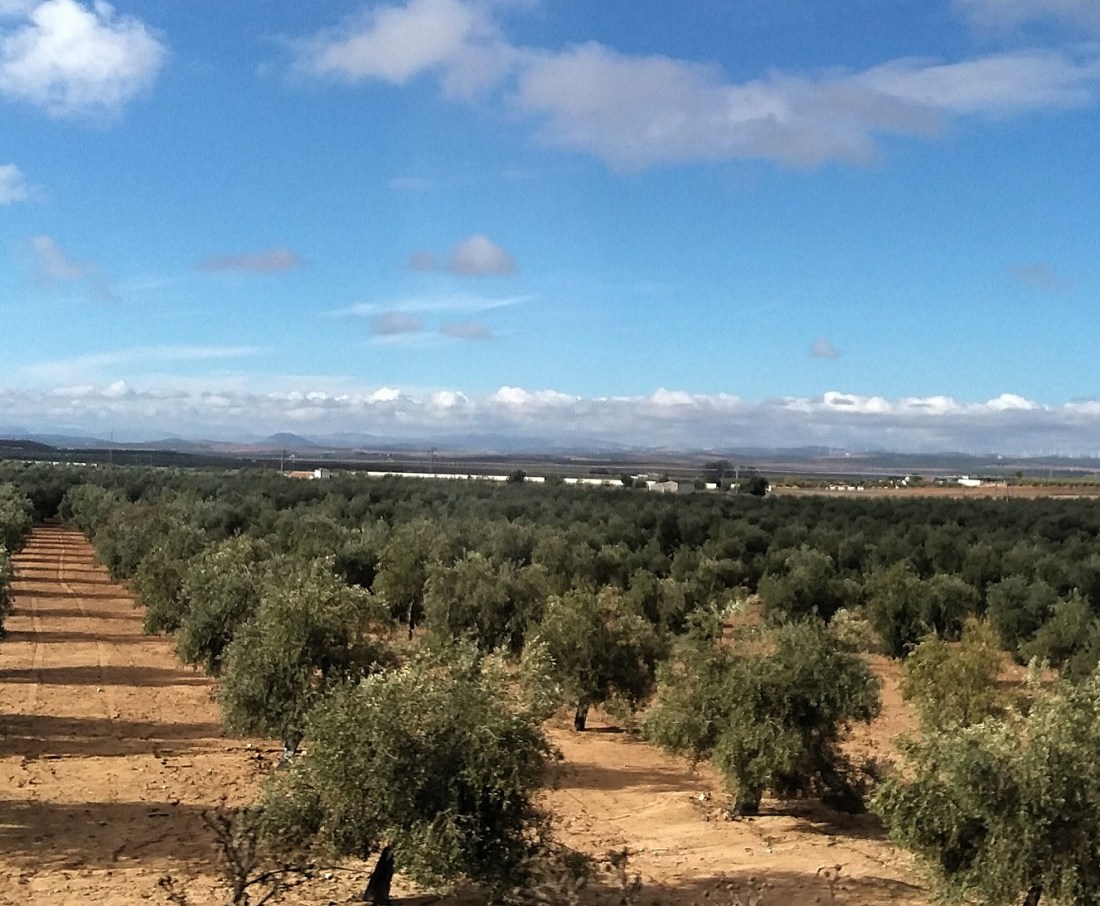 20181028_103808 - Copy