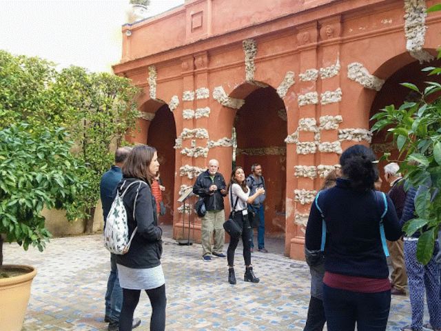 20181029_020533-ANIMATION