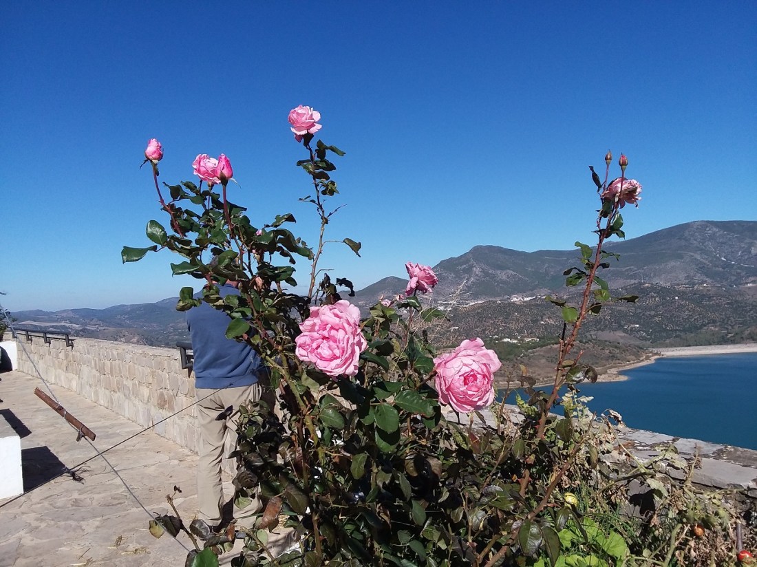 20181029_113109 - Copy