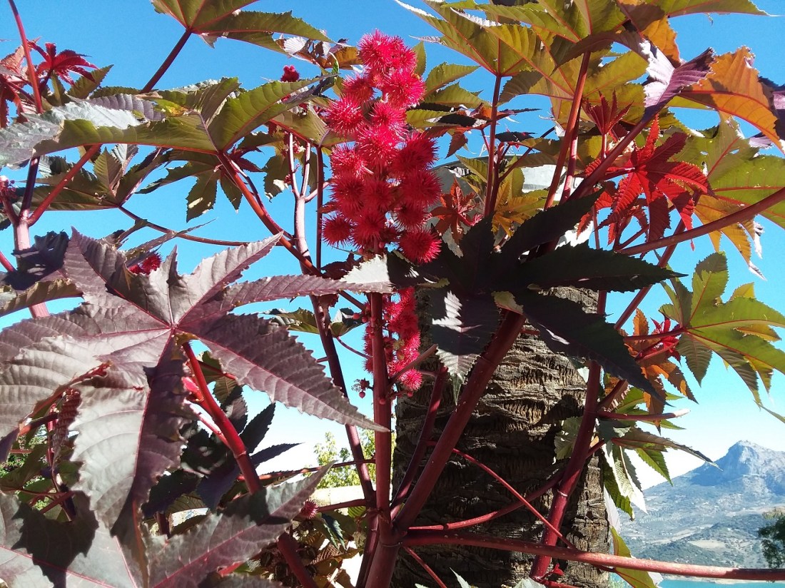 20181029_120658 - Copy