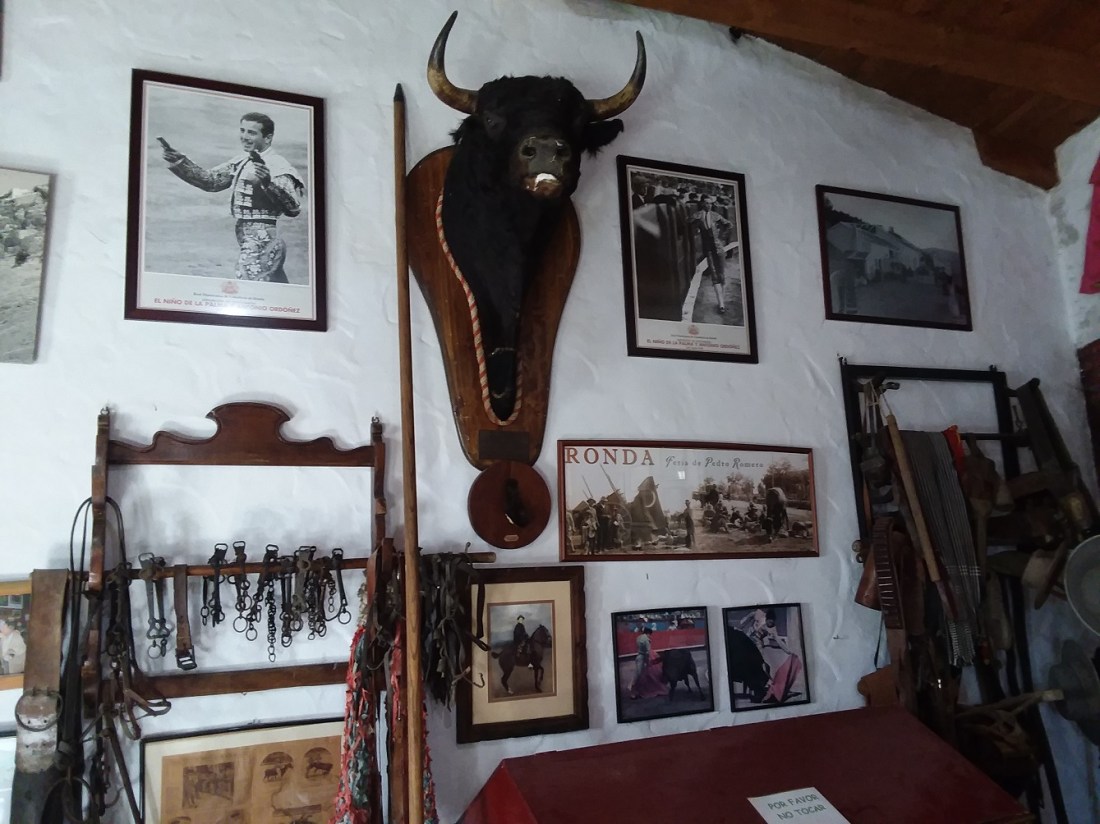 20181029_123233 - Copy