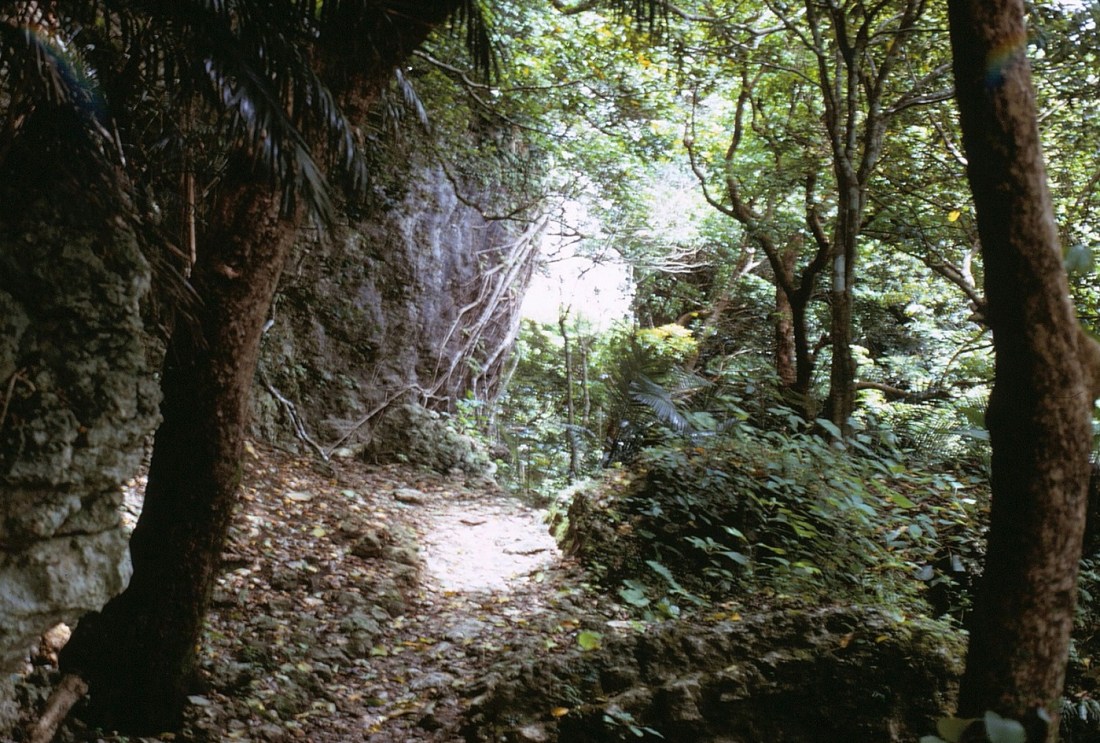 okinawa5-71-17nakagusuka - Copy