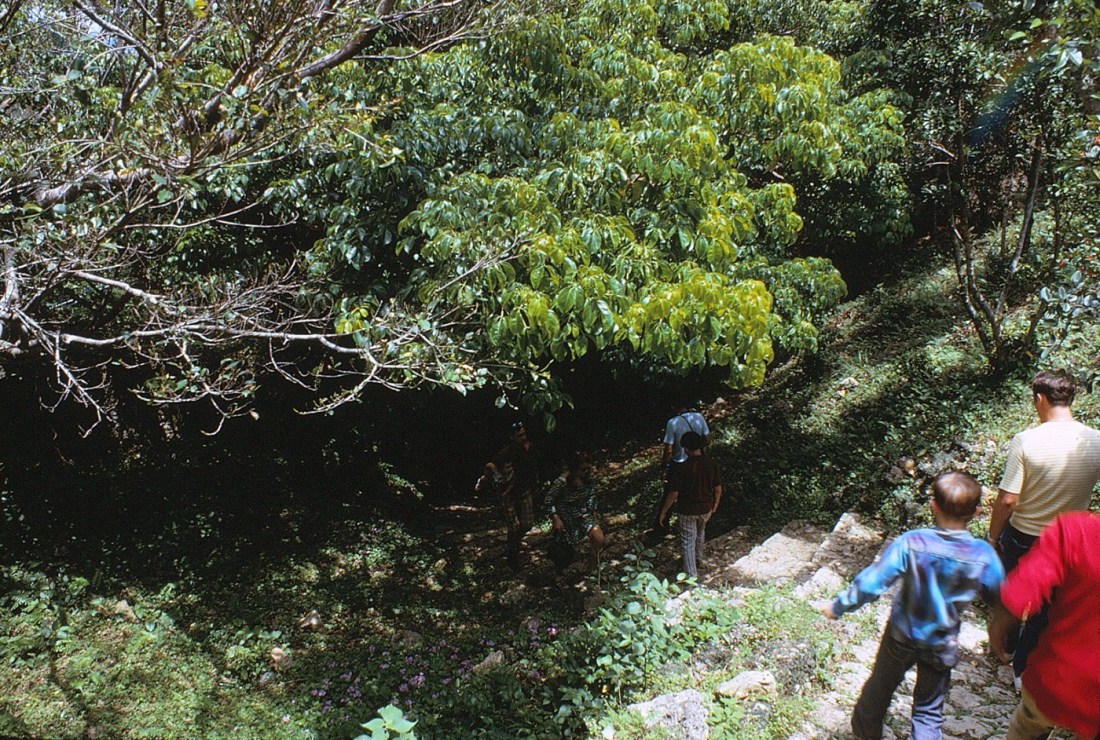okinawa5-71-26nakagusuka - Copy