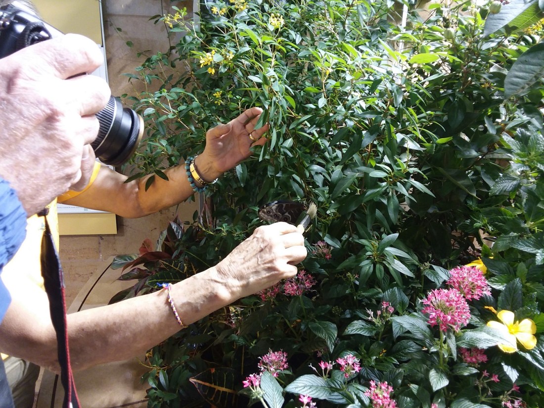 20191114_103632 - Copy