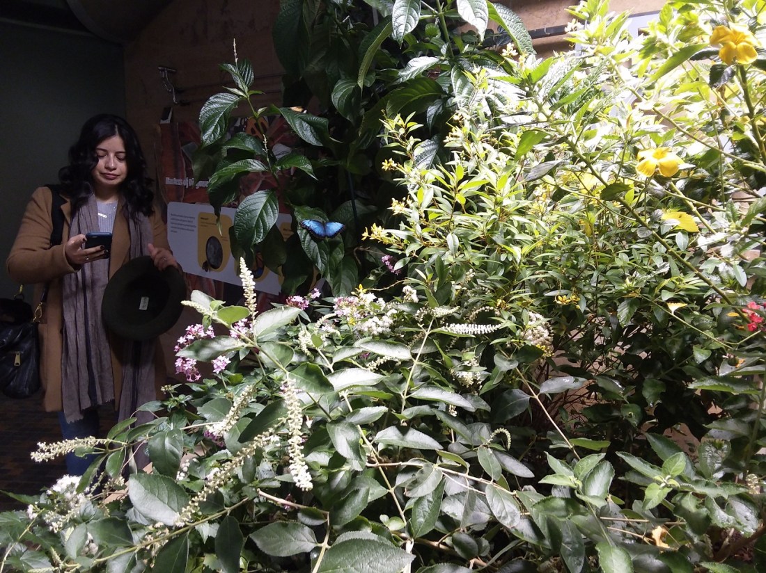 20191114_103810 - Copy