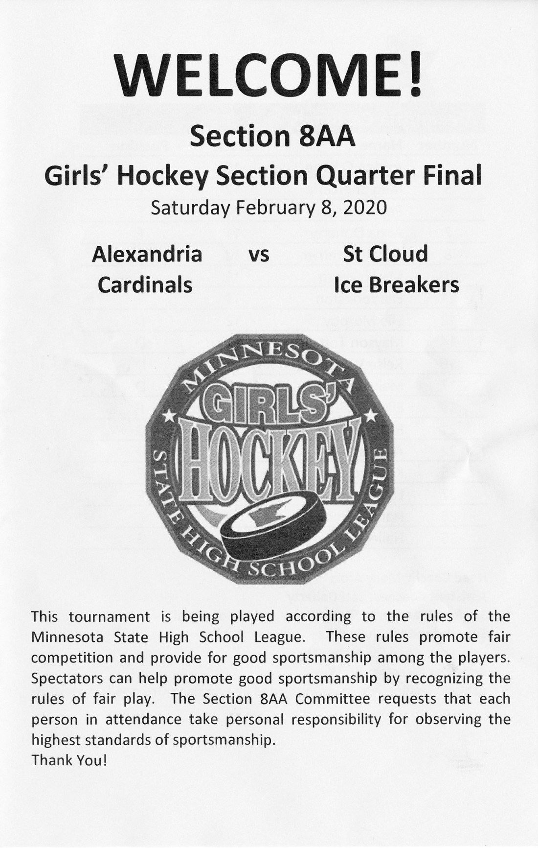 girls hockey sections - Copy