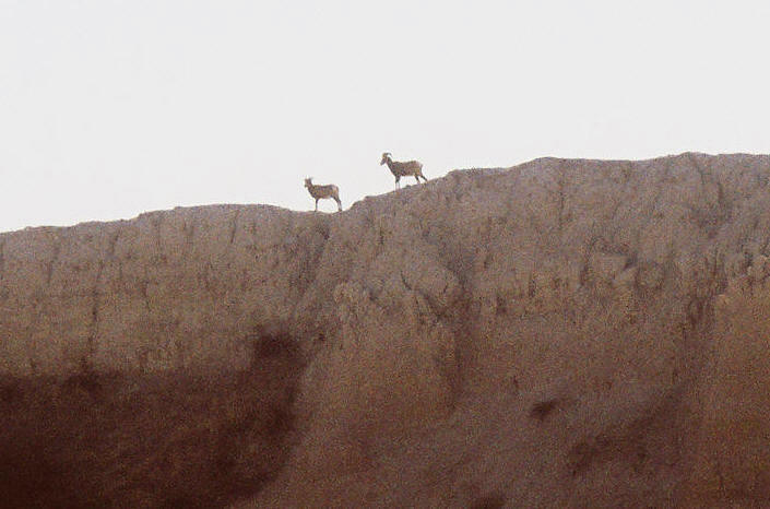 153791-R1-19A-1 - Copy