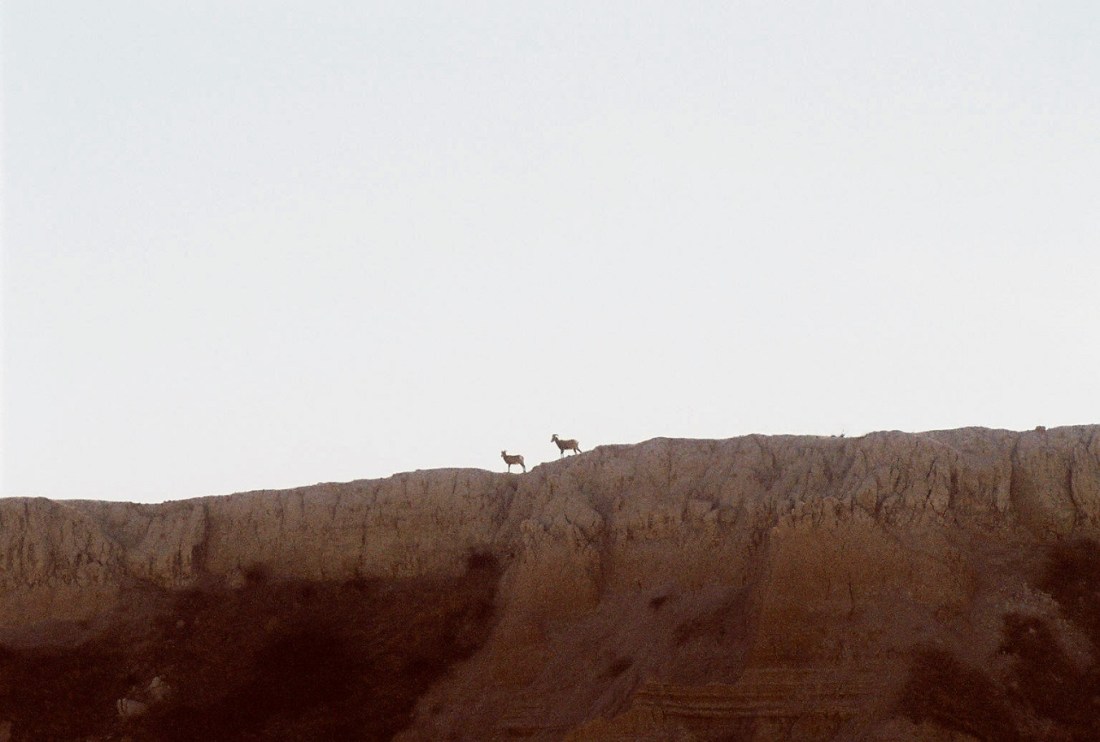 153791-R1-19A - Copy